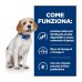 Hill's Prescription Diet z/d Low Fat Alimento Per Cani All'Idrolizzato Di Soia 3kg