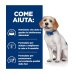 Hill's Prescription Diet z/d Low Fat Alimento Per Cani All'Idrolizzato Di Soia 3kg