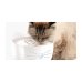 Catit Pixi cat drinking fountain combo pack rosa