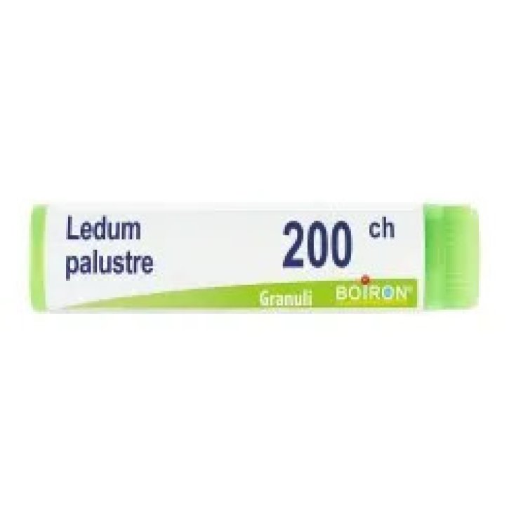 Boiron Ledum Palustre 15CH Globuli Monodose