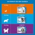 Frontline Spot On Cani (10-20 Kg) 3 Pipette