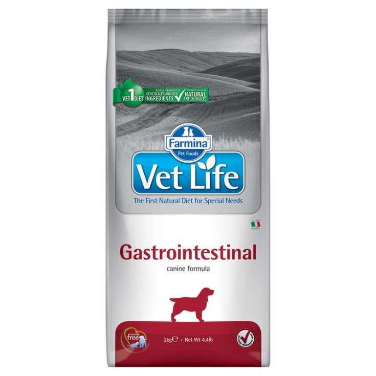 Vet Life Gastrointestinal Puppy - 2KG