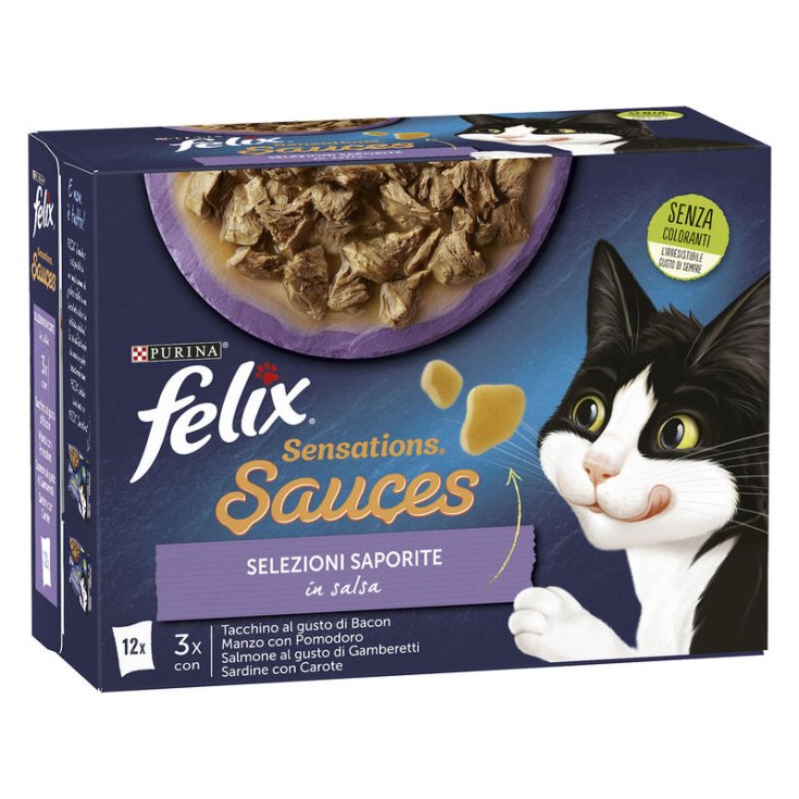 FELIX SENSAT SAUCES SEL SAPOR