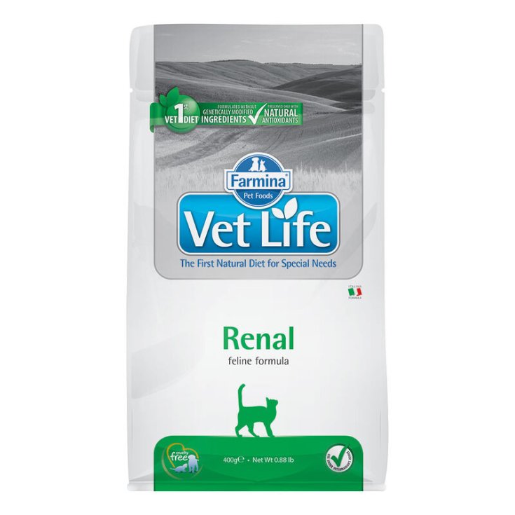 Vet Life Renal - 400GR
