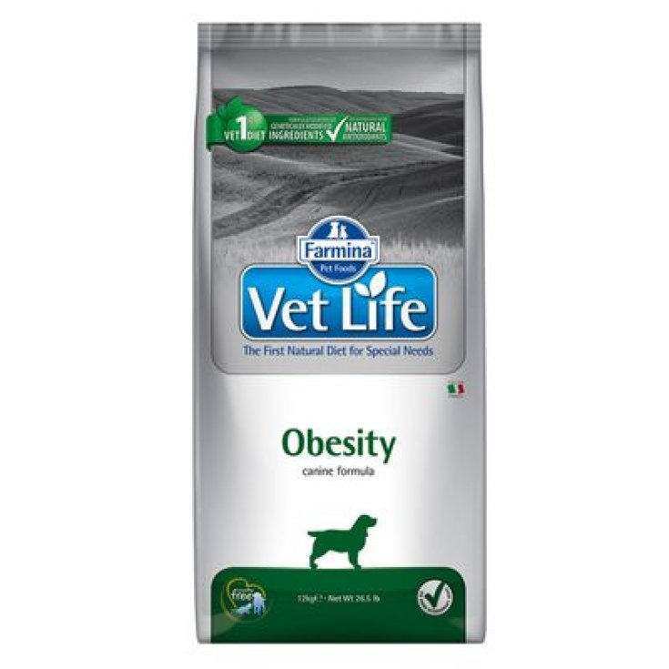 Vet Life Obesity - 12KG