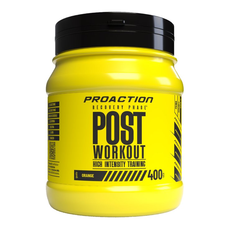 Post Workout ProAction 400g
