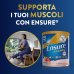 ENSURE® ADVANCE FRAGOLA ABBOTT 400G