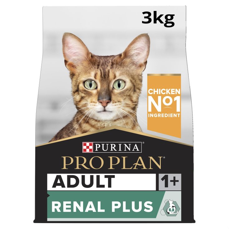 TP ADULT CAT RENAL OX CH1,2KG