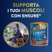 Ensure Advance formula Nutrivigor Cioccolato Abbott 400g