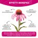 Echinacea Forte Optima Naturals 50ml