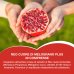 Neo Cuore Di Melograno&reg; Plus Optima Naturals 30 Compresse