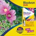 Bisolvon® Duo Pocket Lenitivo 12 Bustine