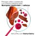 KLORANE BALSAMO FORTIF CHININA