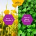 Zarbee's Caramelle per Gola Irritata e Sistema Immunitario Gusto Classico