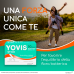 Yovis 50 Miliardi Alfasigma 10 Stick Orosolubili