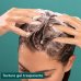 Oily Hair Shampoo Sebo-Regolatore Apivita 250ml