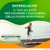 Enterolactis Bevisibile 8 Miliardi Cellule Vive Alfasigma 6x10ml