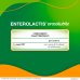 Enterolactis Orosolubile Alfasigma 12 Bustine