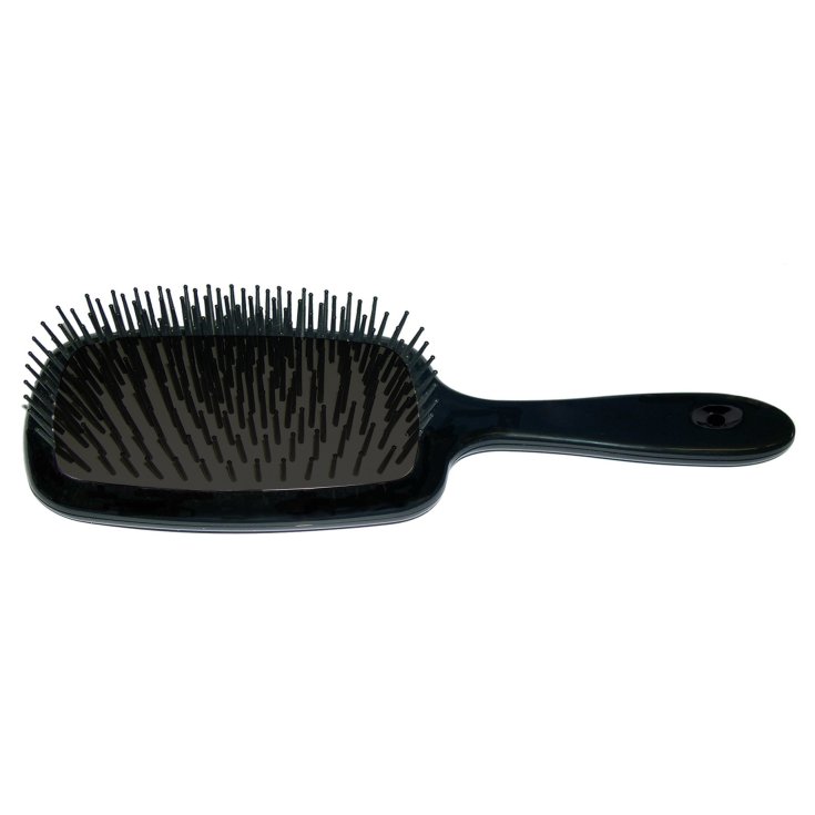 Giorgio Janeke Spazzola Famiglia Rett Nera