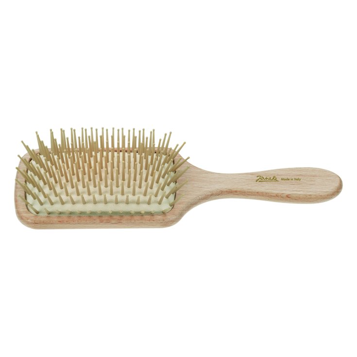 Giorgio Janeke Spazzola Legno Naturale Rettangolare Piccola