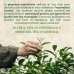 Stick Anti-Imperfezioni Tea Tree 10ml