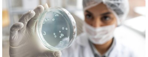 Akkermansia Muciniphila, il batterio alleato della salute