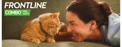 Il gatto che vive in casa va comunque protetto?
