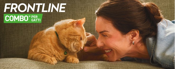 Il gatto che vive in casa va comunque protetto?