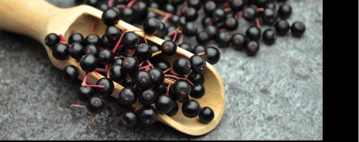 Che proprietà ha il sambuco nero?