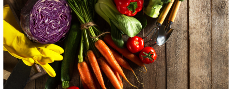 Cosa non mangiare se si soffre di omocisteina alta