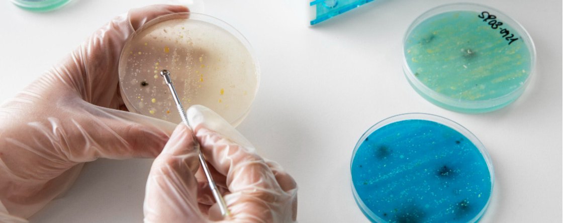 Come proteggersi dalla Candida auris?