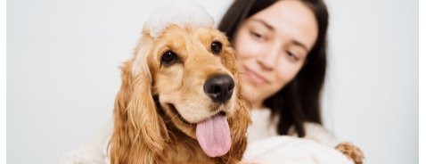Che balsamo usare per il cane?