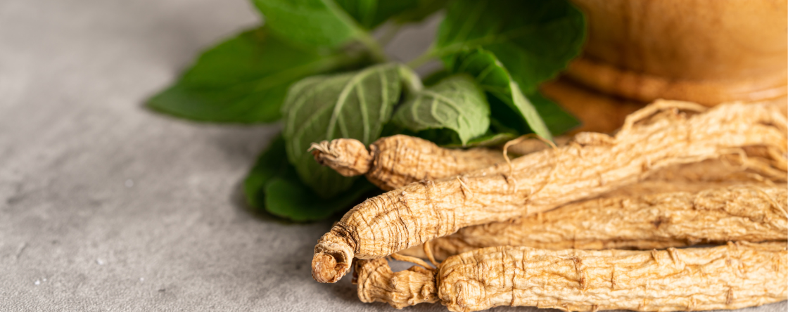 Ginseng: come si assume e quali vitamine contiene