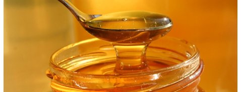 Cosa cura il miele di Manuka?