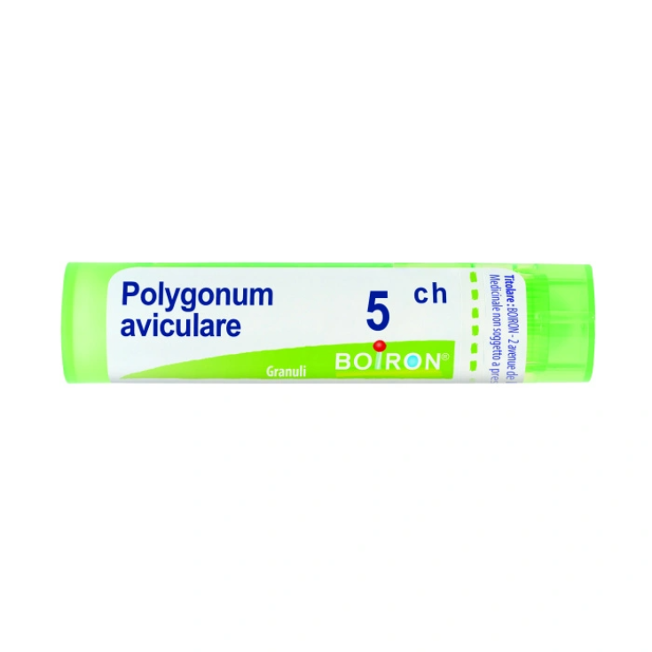 Polygonum Aviculare 5CH Boiron 80 Granuli