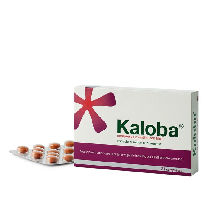 Schwabe Pharma Kaloba Integratore Alimentare 21 Compresse Rivestite 20mg