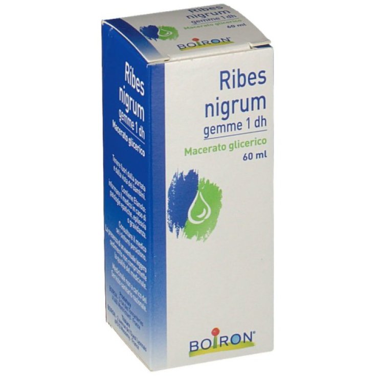 Boiron Ribes Nigrum Glycerine Macerate Gems 60ml