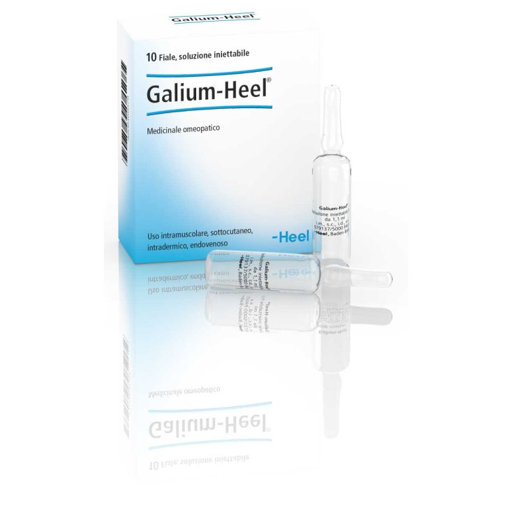 Galium-Heel 10 Fiale Da 1,1ml