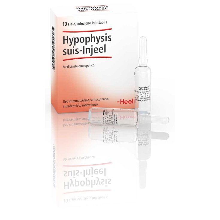 Hypophysis Suis-Injeel Heel 10 Fiale Da 1,1ml