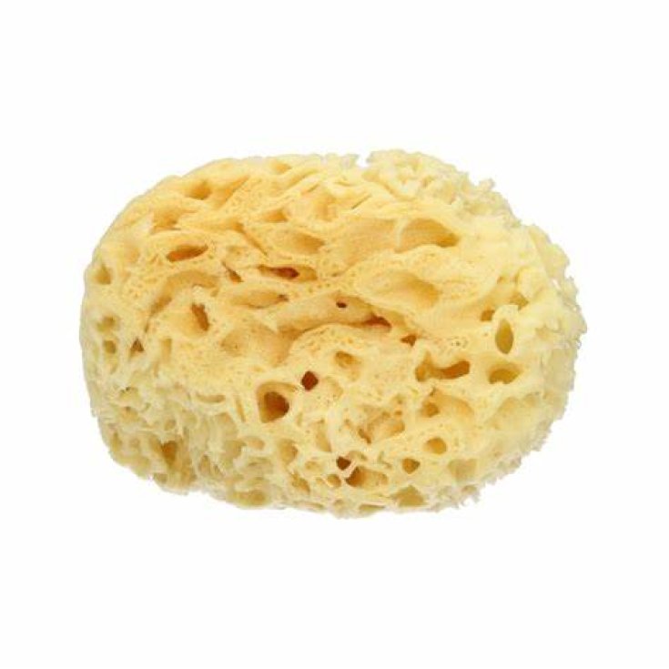 Spugna Di Mare Naturale Large BM Farma 1 Pezzo