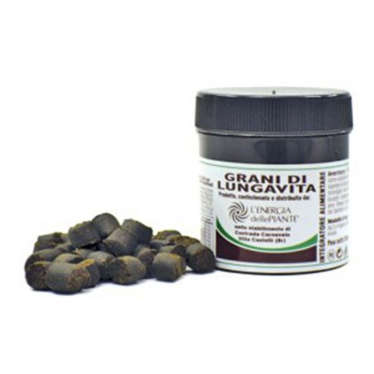 Grani  Vita Acidophilus 35