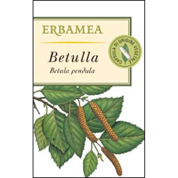 Betulla Erbamea 50 Capsule Vegetali