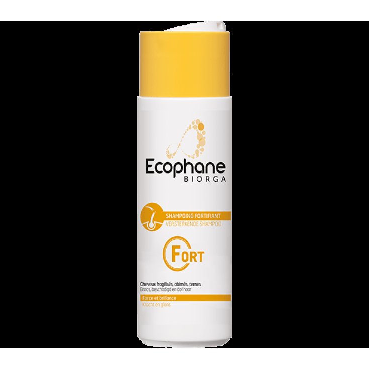 Ecophane Shampoo Fortificante Bailleul 200ml