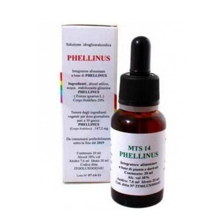 Mts14 Phellinus Gocce Alkaest 20ml