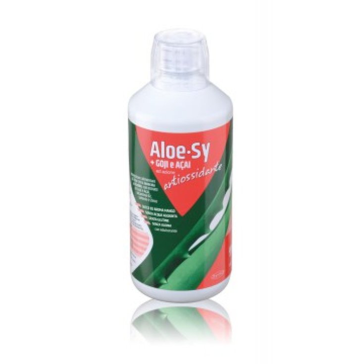 Aloe Sy + Goji E Açai Ad Azione Antiossidante Syrio 1000ml