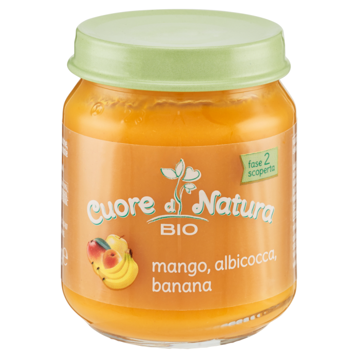 Mango Albicocca Banana Cuore di Natura BIO 110g
