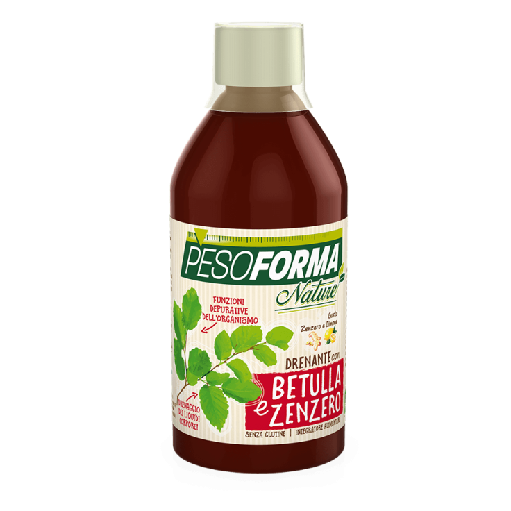 Drenante Betulla E Zenzero Pesoforma Nature 500ml