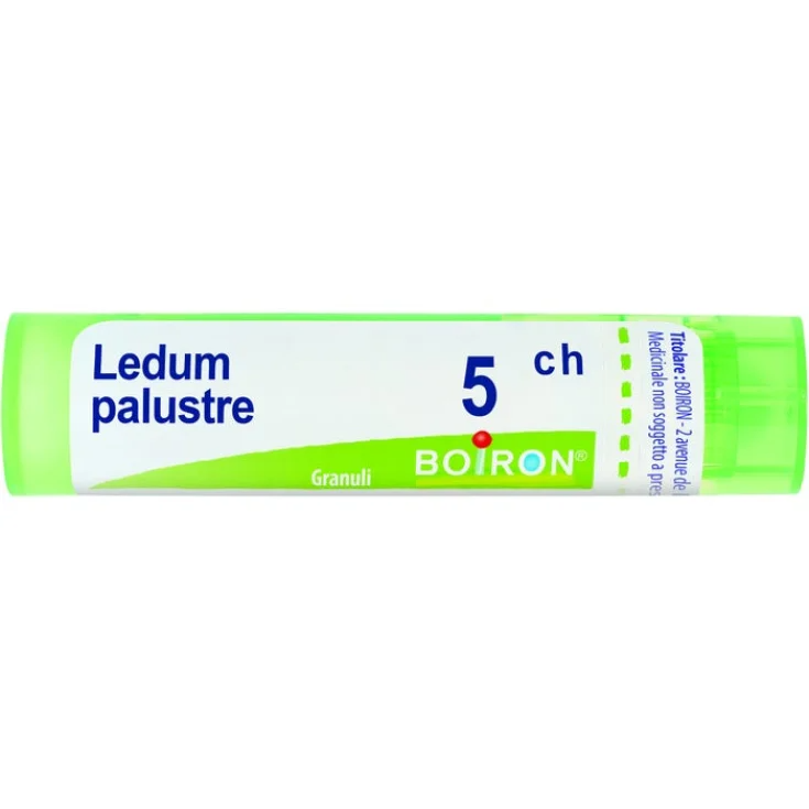 Ledum Palustre 5CH Boiron 80 Granuli