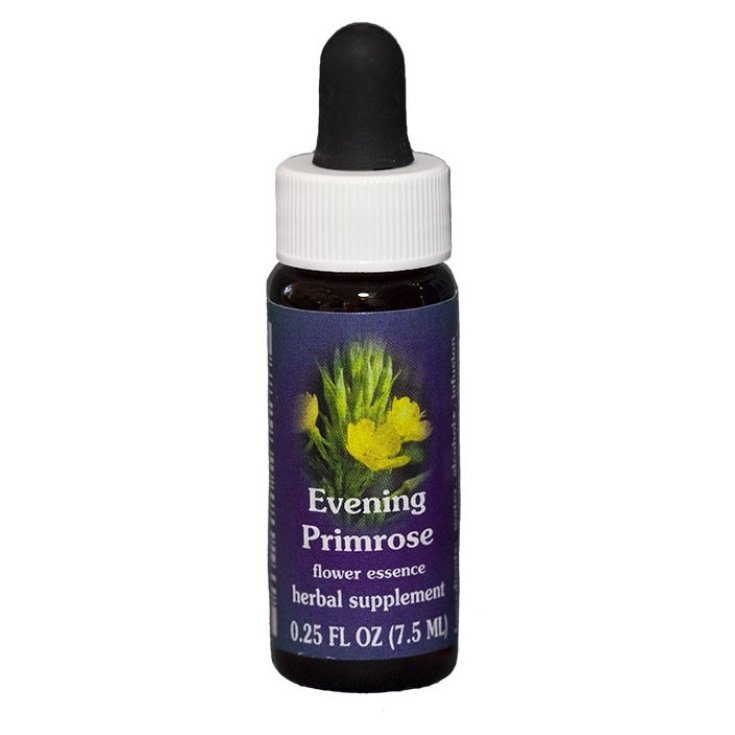 Evening Primrose Essenza Singola Californiana Flower Essence Society 7,4ml 