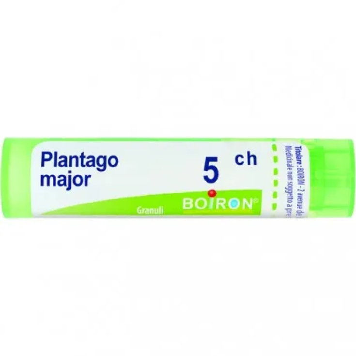 Plantago Major 5CH Boiron 80 Granuli